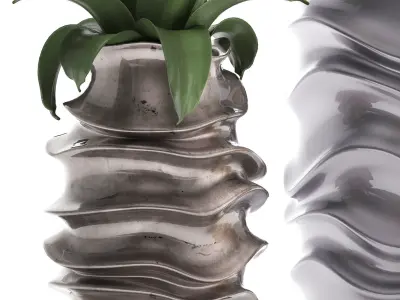 Collection of Exotic plants 3D model