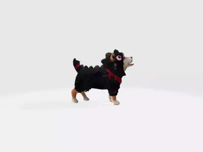 AvatarPet  Shiba FreeFire character Low-poly 3D model