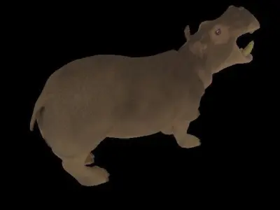 Hippopotamus Low-poly 3D model purchase