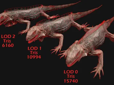 Iguana Reptile Low-poly 3D model