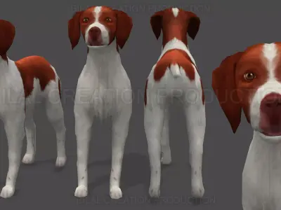 Brittany Dog Animated 3D model