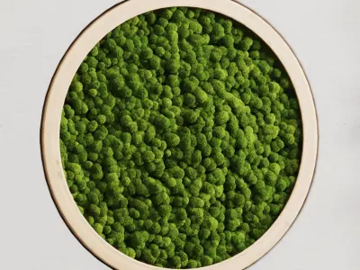 vertical garden circle and moss in wooden frame 32 3D model