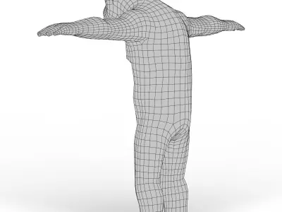 Chimpanzee Base Mesh Low-poly 3D model