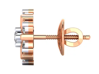 Women Earrings 3D print model