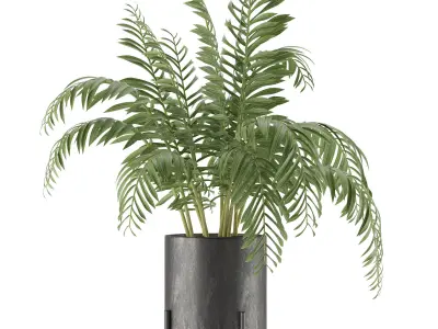 House Plant 38 3D model
