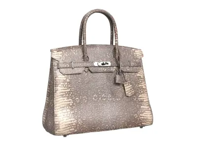 Hermes Birkin Bag Snake Leather Low-poly 3D model