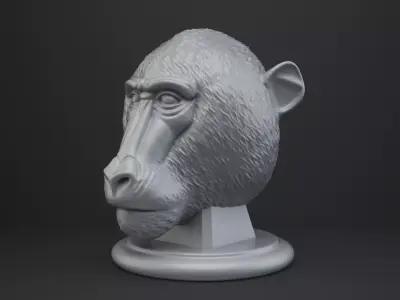 Baboon Bust - Animal Figurine 3D print model