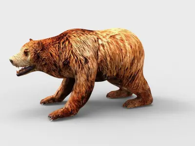 Red Bear Rigged 3D Models game Low-poly 3D model