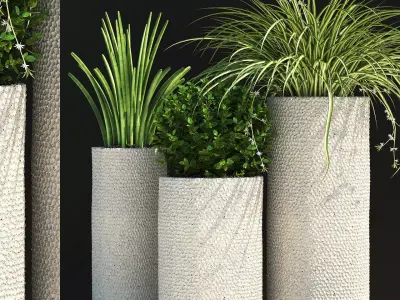 plants set 129 3D model