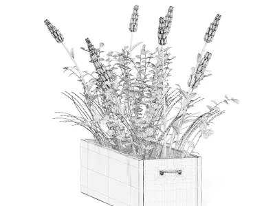 Flowers 3D Model in Wooden Box 3D model