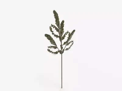 Faux Cedar Branch 3D model