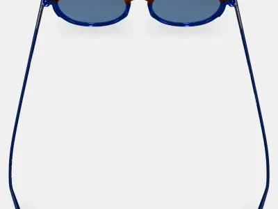 ETNIA BARCELONA TULSA BLUE TORTOISE 3D model