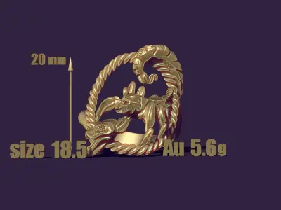 Scorpio ring 3D print model