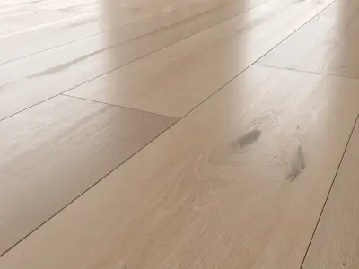 Wood floor Oak Vergne Brushed 3D model