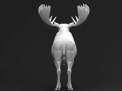 Bull Moose 01 3D print model