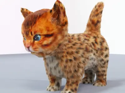 Fur Cute Cat kitten Jungle No Rig Low-poly 3D model