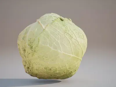 Low Poly 3D Cabbage model Game ready  5K triangles 4K PBR  Low-poly 3D model
