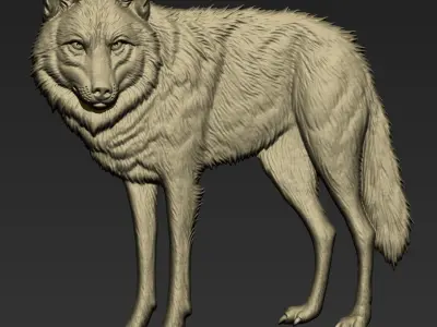 Wolf A107 3D print model