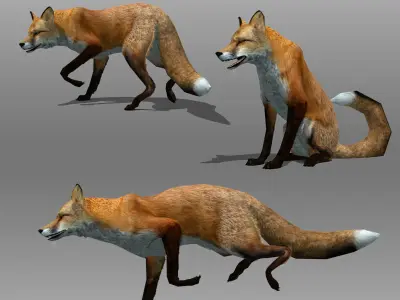 Red and Black Fox Low-poly 3D model