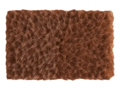 Small Rectangular Fluffy Rug 3D model