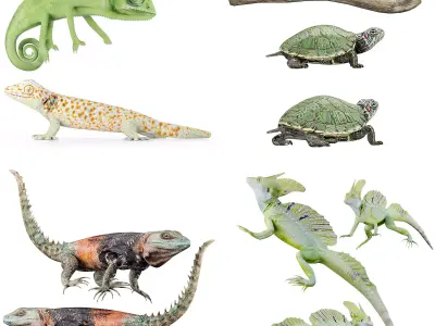 Reptile set two iguanas Low-poly 3D model