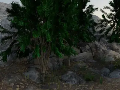 cave with trees Free 3D model
