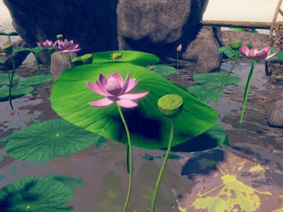 RockeryLotusPond water wheel and lotus lilies in water Low-poly 3D model