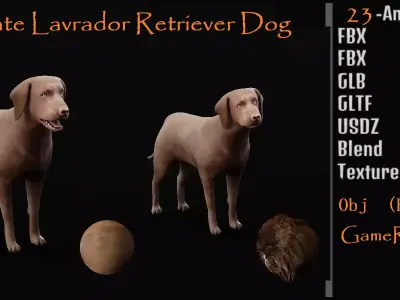 Chocolate Labrador Retriever Dog Low-poly 3D model