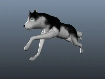 Dog Animation Low-poly 3D model
