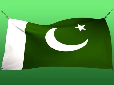 Animated Flag- Wired Transitional Flag  3D model