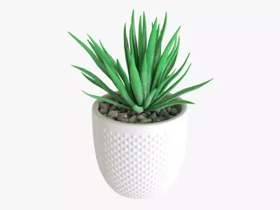 Decorative succulent potted plant 11 3D model