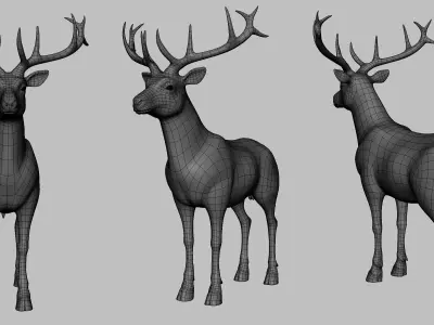 Deer Basemesh Low-poly 3D model