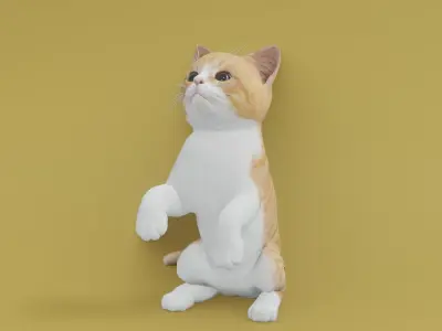 Kitten animated 3D 3D model