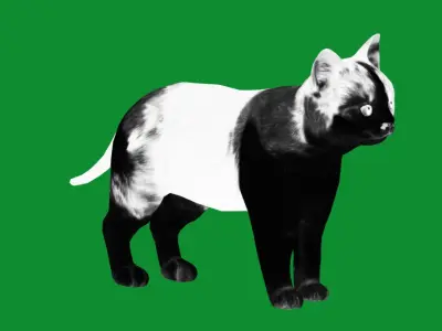 Calico Kitten Cat Low-poly 3D model