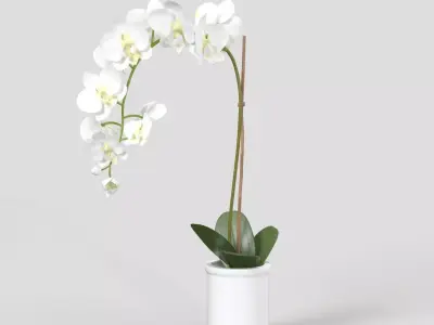 Threshold Small Potted Orchid  PBR 3D model