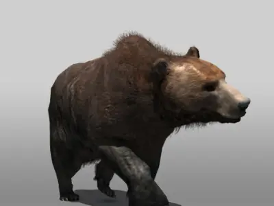 Grizzly Bear Low-poly 3D model