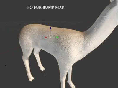 Roe Deer Doe - game model Low-poly 3D model