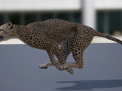 Pack of wild african cats Low-poly 3D model