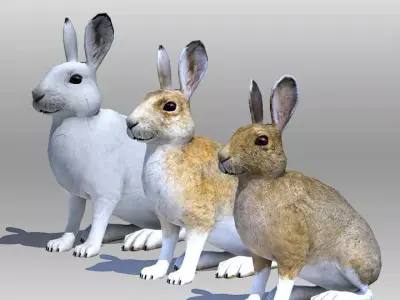 Rabbit or Hair Low-poly 3D model