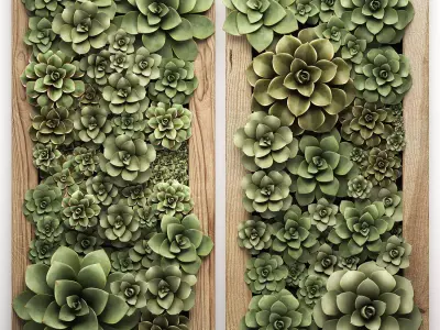 Echeveria Vertical garden 52 3D model