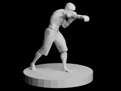 BOXER 3D print model
