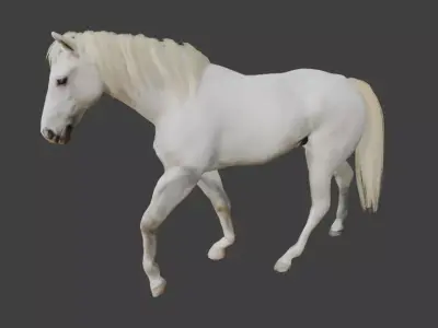 Animated White Horse 3D model