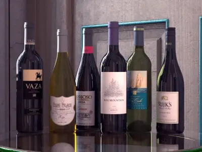 6 Wine Bottles Collection 3D model