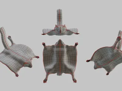 Flying squirrel low poly Low-poly 3D model