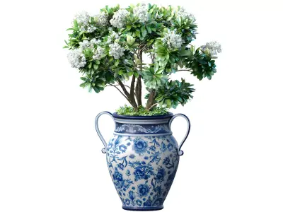 Decorative garden tree with white Plumeria flowers in a vase 3D model