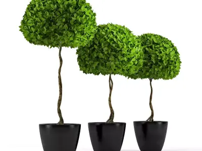 Three plants 3D model