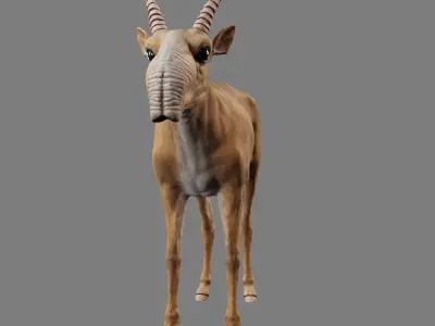 Saiga Antelope Without Bone Low-poly 3D model