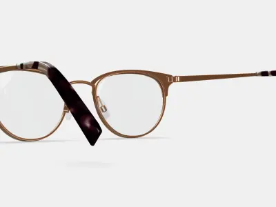 Blair Eyeglasses in Rose Gold 3D model