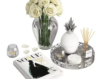 Silver Coffee Table Decor  3D model