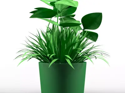 Decorative Pot Clover Low-poly 3D model